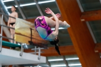 Thumbnail - Girls D - Caterina - Прыжки в воду - 2019 - Alpe Adria Zadar - Participants - Italy 03029_16409.jpg