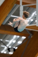 Thumbnail - Boys D - Mikula - Diving Sports - 2019 - Alpe Adria Zadar - Participants - Croatia - Boys 03029_16961.jpg