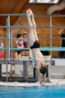 Thumbnail - Boys D - Mikula - Diving Sports - 2019 - Alpe Adria Zadar - Participants - Croatia - Boys 03029_17208.jpg