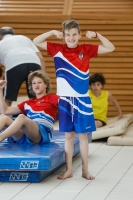 Thumbnail - Boys D - Bogdan - Прыжки в воду - 2019 - Alpe Adria Zadar - Participants - Serbia 03029_17949.jpg