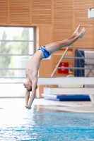 Thumbnail - Boys A - Axel Renaud - Diving Sports - 2019 - Alpe Adria Zadar - Participants - France 03029_18168.jpg