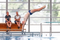 Thumbnail - Croatia - Boys - Прыжки в воду - 2019 - Alpe Adria Zadar - Participants 03029_18233.jpg