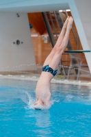 Thumbnail - Croatia - Boys - Diving Sports - 2019 - Alpe Adria Zadar - Participants 03029_18280.jpg