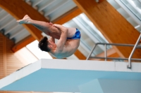 Thumbnail - Boys A - Axel Renaud - Diving Sports - 2019 - Alpe Adria Zadar - Participants - France 03029_18329.jpg