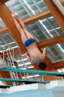 Thumbnail - Boys B - Leyth - Прыжки в воду - 2019 - Alpe Adria Zadar - Participants - France 03029_18579.jpg