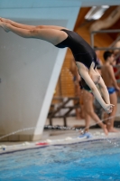 Thumbnail - Girls C - Mariam - Прыжки в воду - 2019 - Alpe Adria Zadar - Participants - Georgia 03029_18585.jpg