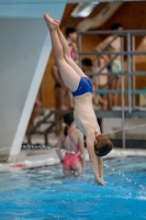 Thumbnail - Boys E - Mathis - Прыжки в воду - 2019 - Alpe Adria Zadar - Participants - France 03029_18607.jpg