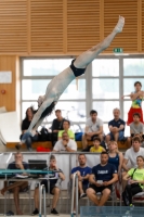 Thumbnail - Boys A - Manó Hunyady - Прыжки в воду - 2019 - Alpe Adria Zadar - Participants - Hungary 03029_20441.jpg