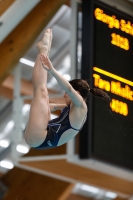 Thumbnail - Girls B - Tara Nicolic - Diving Sports - 2019 - Alpe Adria Zadar - Participants - Serbia 03029_20935.jpg