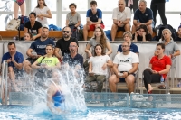 Thumbnail - General Photos - Прыжки в воду - 2019 - Alpe Adria Zadar 03029_21467.jpg