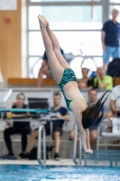 Thumbnail - Kroatien - Girls - Прыжки в воду - 2019 - Alpe Adria Zadar - Participants 03029_22774.jpg