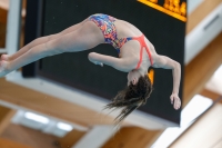 Thumbnail - Kroatien - Girls - Diving Sports - 2019 - Alpe Adria Zadar - Participants 03029_22791.jpg