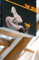 Thumbnail - Kroatien - Girls - Прыжки в воду - 2019 - Alpe Adria Zadar - Participants 03029_22872.jpg