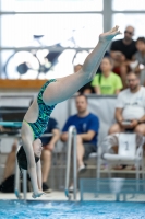 Thumbnail - Kroatien - Girls - Diving Sports - 2019 - Alpe Adria Zadar - Participants 03029_22921.jpg