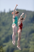 Thumbnail - Girls - Wasserspringen - 2019 - International Diving Meet Graz - Synchronwettkämpfe 03030_00273.jpg