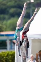 Thumbnail - Girls - Wasserspringen - 2019 - International Diving Meet Graz - Synchronwettkämpfe 03030_00299.jpg