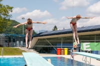 Thumbnail - International Diving Meet Graz 2019 - Tuffi Sport 03030_00418.jpg