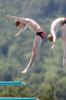 Thumbnail - Synchronwettkämpfe - Wasserspringen - 2019 - International Diving Meet Graz 03030_00498.jpg