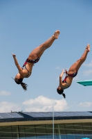 Thumbnail - Girls - Wasserspringen - 2019 - International Diving Meet Graz - Synchronwettkämpfe 03030_00880.jpg