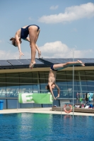 Thumbnail - Synchronwettkämpfe - Wasserspringen - 2019 - International Diving Meet Graz 03030_00968.jpg