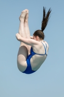 Thumbnail - Girls A - Hannah Dennis - Wasserspringen - 2019 - International Diving Meet Graz - Teilnehmer - Österreich 03030_01004.jpg