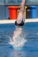 Thumbnail - 2019 - International Diving Meet Graz - Wasserspringen 03030_01025.jpg