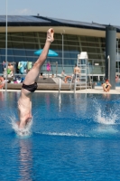 Thumbnail - Mixed - Wasserspringen - 2019 - International Diving Meet Graz - Synchronwettkämpfe 03030_01243.jpg