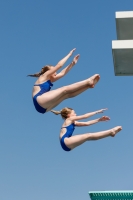 Thumbnail - Girls - Wasserspringen - 2019 - International Diving Meet Graz - Synchronwettkämpfe 03030_01870.jpg