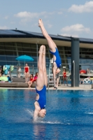 Thumbnail - Girls - Wasserspringen - 2019 - International Diving Meet Graz - Synchronwettkämpfe 03030_01997.jpg