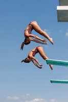 Thumbnail - Girls - Wasserspringen - 2019 - International Diving Meet Graz - Synchronwettkämpfe 03030_02278.jpg
