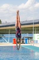 Thumbnail - Participants - Прыжки в воду - International Diving Meet Graz 2019 03030_02559.jpg