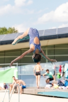 Thumbnail - Girls C - Florentina - Wasserspringen - 2019 - International Diving Meet Graz - Teilnehmer - Österreich 03030_02626.jpg