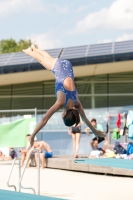 Thumbnail - Austria - Прыжки в воду - International Diving Meet Graz 2019 - Participants 03030_02627.jpg