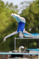 Thumbnail - Austria - Прыжки в воду - International Diving Meet Graz 2019 - Participants 03030_02684.jpg