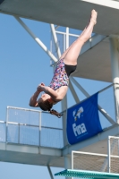 Thumbnail - Österreich - Wasserspringen - 2019 - International Diving Meet Graz - Teilnehmer 03030_02882.jpg