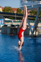 Thumbnail - Hungary - Прыжки в воду - International Diving Meet Graz 2019 - Participants 03030_03033.jpg