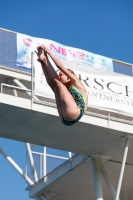 Thumbnail - Girls B - Anne Büchner - Прыжки в воду - International Diving Meet Graz 2019 - Participants - Germany 03030_03146.jpg