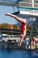Thumbnail - Participants - Прыжки в воду - International Diving Meet Graz 2019 03030_03276.jpg