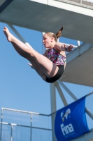 Thumbnail - Participants - Прыжки в воду - International Diving Meet Graz 2019 03030_03362.jpg
