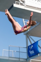 Thumbnail - Girls B - Hanna Eckold - Diving Sports - International Diving Meet Graz 2019 - Participants - Germany 03030_03568.jpg
