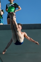 Thumbnail - 2019 - International Diving Meet Graz - Wasserspringen 03030_03801.jpg