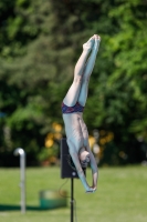 Thumbnail - Boys C - Jonas - Прыжки в воду - International Diving Meet Graz 2019 - Participants - Switzerland 03030_03991.jpg