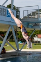 Thumbnail - Austria - Прыжки в воду - International Diving Meet Graz 2019 - Participants 03030_04733.jpg