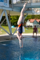 Thumbnail - Österreich - Wasserspringen - 2019 - International Diving Meet Graz - Teilnehmer 03030_04903.jpg