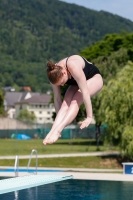 Thumbnail - Austria - Прыжки в воду - International Diving Meet Graz 2019 - Participants 03030_04983.jpg