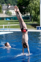 Thumbnail - Participants - Прыжки в воду - International Diving Meet Graz 2019 03030_07495.jpg