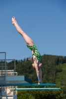 Thumbnail - Girls B - Olivia Meusburger - Diving Sports - International Diving Meet Graz 2019 - Participants - Austria 03030_08189.jpg