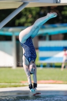 Thumbnail - Girls B - Hanna Held - Прыжки в воду - International Diving Meet Graz 2019 - Participants - Germany 03030_08550.jpg