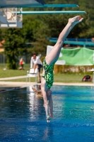 Thumbnail - Österreich - Wasserspringen - 2019 - International Diving Meet Graz - Teilnehmer 03030_08574.jpg