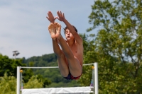 Thumbnail - 2019 - International Diving Meet Graz - Wasserspringen 03030_09760.jpg